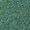 TOHO 11/0 Round Beads X-SEED-TR11-0699-2