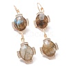 Natural Labradorite Leverback Earrings EJEW-I247-02D-1