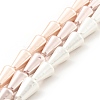 Electroplated Shell Pearl Beads Strands BSHE-G027-06-1