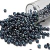 TOHO 6/0 Round Beads X-SEED-TR06-1208-1