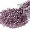 TOHO Round Seed Beads SEED-JPTR08-0166-1