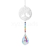 Glass Pendant Decorations PW-WG66492-01-1