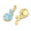 Brass Enamel Pendants KK-H534-06G-2