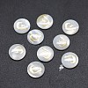 Shell Cabochons SSHEL-E568-B04-2