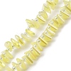 Electroplate Glass Beads Strands EGLA-S176-05A-B13-1