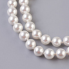 Natural Round Shell Pearl Pendant Necklaces NJEW-P232-B-4