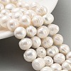 Natural Cultured Freshwater Pearl Beads Strands PEAR-C003-20B-2