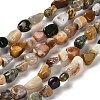 Natural Ocean Jasper Beads Strands G-P497-01E-90B-1