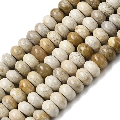 Natural Fossil Coral Beads Strands G-A280-A08-02-1