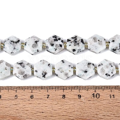 Natural Sesame Jasper Beads Strands G-N368-01A-19-1
