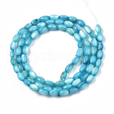 Freshwater Shell Beads Strands SHEL-T009-B15-05-1