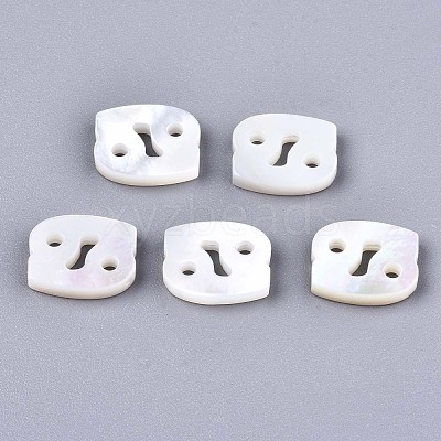 Natural White Shell Beads SSHEL-ZX004-02D-1