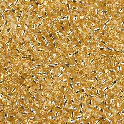 8/0 Glass Seed Beads X2-SEED-A005-3mm-22-1