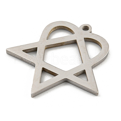 Non-Tarnish 304 Stainless Steel Pendants STAS-R228-03P-1