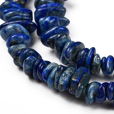 Natural Lapis Lazuli Chip Bead Strands X-G-M205-14-1
