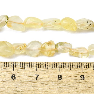 Natural Gold Prehnite Beads Strands G-K395-A07-01-1