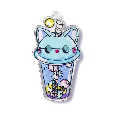 Transparent Printed Acrylic Pendants TACR-G042-01E-1