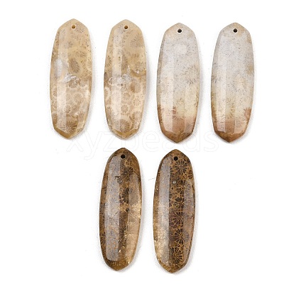 Natural Fossil Coral Pendants G-B187-01C-10-1