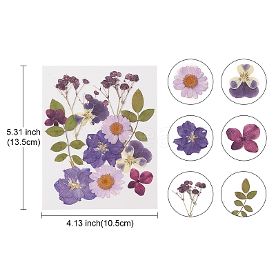 Pressed Dried Flowers DIY-YWC0001-102-1