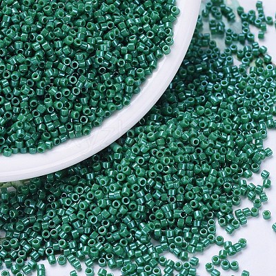 MIYUKI Delica Beads X-SEED-J020-DB0656-1