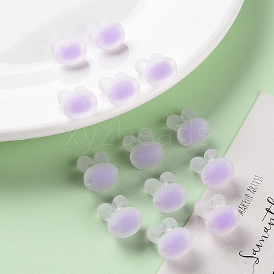 Transparent Acrylic Beads TACR-S152-12C-SS2114-1