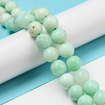Grade A Natural Chrysoprase Beads Strands G-R494-A02-04-1