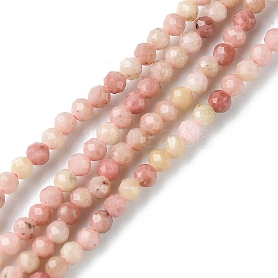 Natural Rhodonite Beads Strands G-F748-U01-01-1