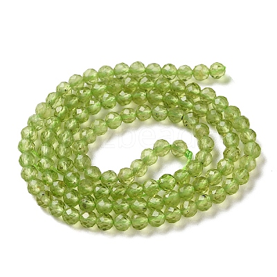 Natural Peridot Beads Strands G-P603-C-3mm-01-1