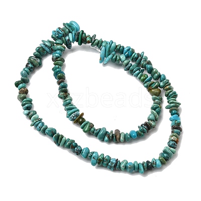 Natural HuBei Turquoise Bead Strands G-H345-A01-03-1