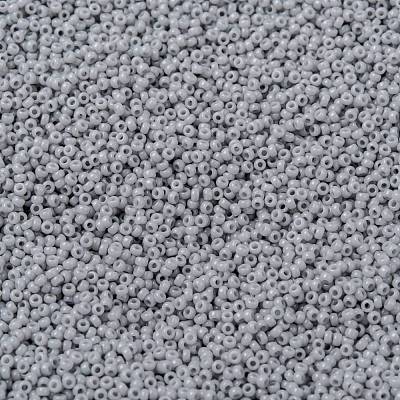 MIYUKI Round Rocailles Beads X-SEED-G009-RR0498-1