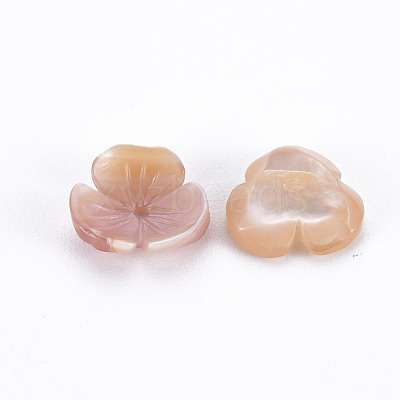 Natural Pink Shell Beads SSHEL-N034-119A-01-1