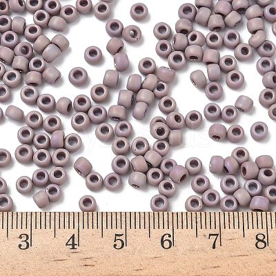 TOHO 6/0 Round Beads SEED-XTR06-0412F-1