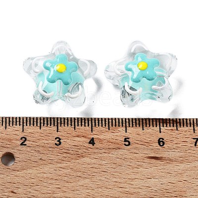 Transparent Glass Beads LAMP-H065-02A-1