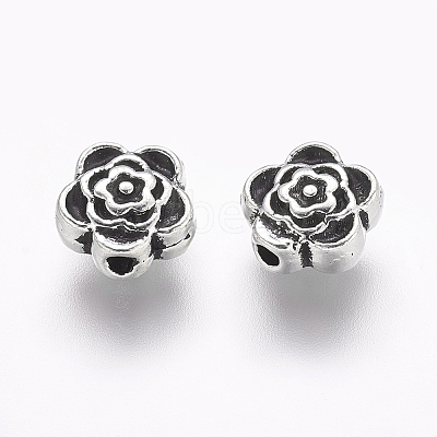 Tibetan Style Alloy Beads LF0590Y-NF-1