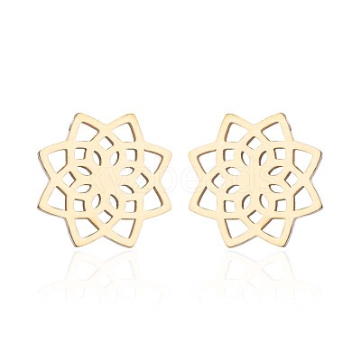 304 Stainless Steel Stud Earrings WGE2D60-07-1