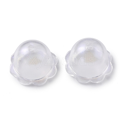 Transparent Acrylic Bead Caps OACR-P007-46-1