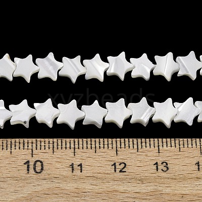 Natural Trochid Shell/Trochus Shell Beads Strands SH-CBA2978-17A-1