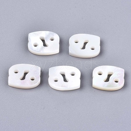 Natural White Shell Beads SSHEL-ZX004-02D-1