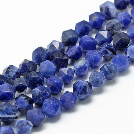 Natural Sodalite Beads Strands G-R448-6mm-09-1