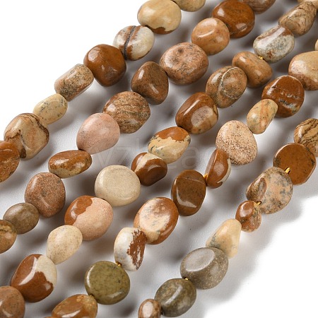 Natural Picture Jasper Beads Strands G-P497-01C-25-1