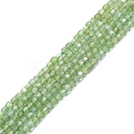 Natural Green Apatite Beads Strands G-P457-B01-12-1