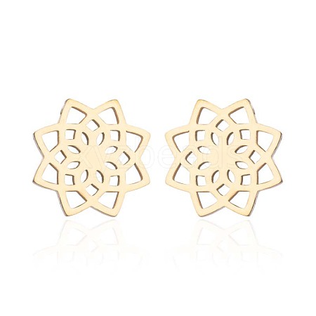 304 Stainless Steel Stud Earrings WGE2D60-07-1