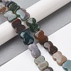 Natural Indian Agate Beads Strands G-K359-D04-01-2