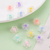 Transparent Acrylic Beads X-TACR-S152-06C-6