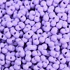 Baking Paint Glass Seed Beads X1-SEED-K010-A05-2
