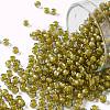 TOHO Round Seed Beads SEED-JPTR08-0246-1