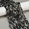Natural Eagle Eye Stone Beads Strands G-Q060-D06-1