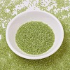 MIYUKI Delica Beads X-SEED-J020-DB0910-2