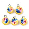 Handmade Polymer Clay Charms CLAY-T016-58-1