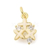 Rack Plating Brass Micro Pave Cubic Zirconia Charms KK-S396-46G-1